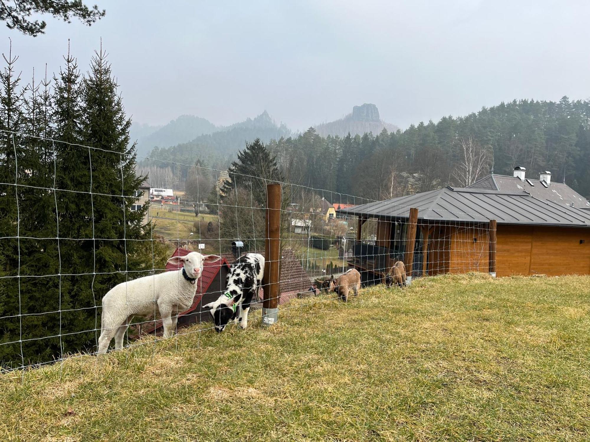 Natur Resort Jetrichovice Екстер'єр фото